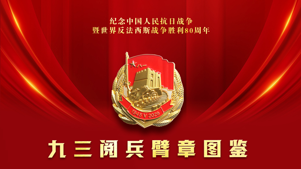 請收藏！九三閱兵臂章圖鑒