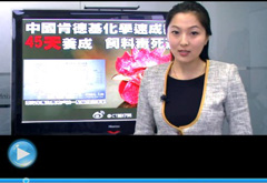 權(quán)威聲音：“快時(shí)代”究竟還有什么可以速成？