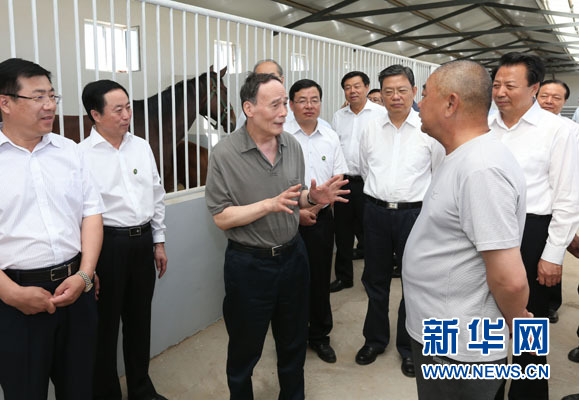 這是7月3日，王岐山在錫林浩特市義合良種馬繁育基地考察。新華社記者 龐興雷 攝