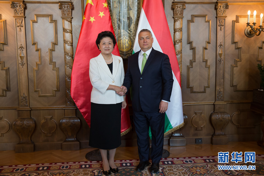  6月21日，國(guó)務(wù)院副總理劉延?xùn)|（左）在匈牙利布達(dá)佩斯國(guó)會(huì)大廈會(huì)見匈牙利總理歐爾班。 新華社發(fā)（弗爾季·奧蒂洛攝）