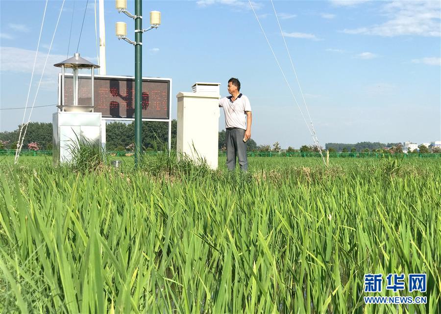（新華全媒頭條·紀(jì)念改革開放40年特稿·圖文互動(dòng)）（6）向著新航程揚(yáng)帆奮進(jìn)！——從小崗精神看中國(guó)改革開放40年