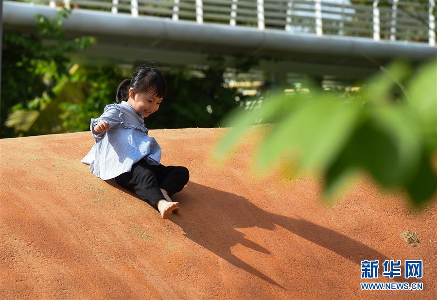 （圖文互動·百城百縣百企調(diào)研行）（3）“濕地海口”的生態(tài)文明建設(shè)實(shí)踐