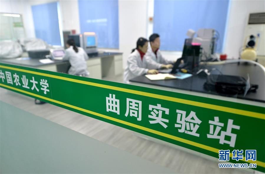 （愛國情 奮斗者·圖文互動）（3） “解民生之多艱，育天下之英才”——中國農(nóng)大師生扎根田野書寫奉獻(xiàn)之歌