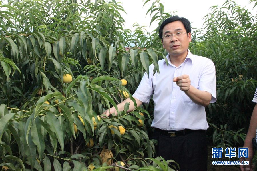 （圖文互動）（2）“為脫貧而來，為脫貧而去”——追記湖南炎陵縣委原書記黃詩燕 