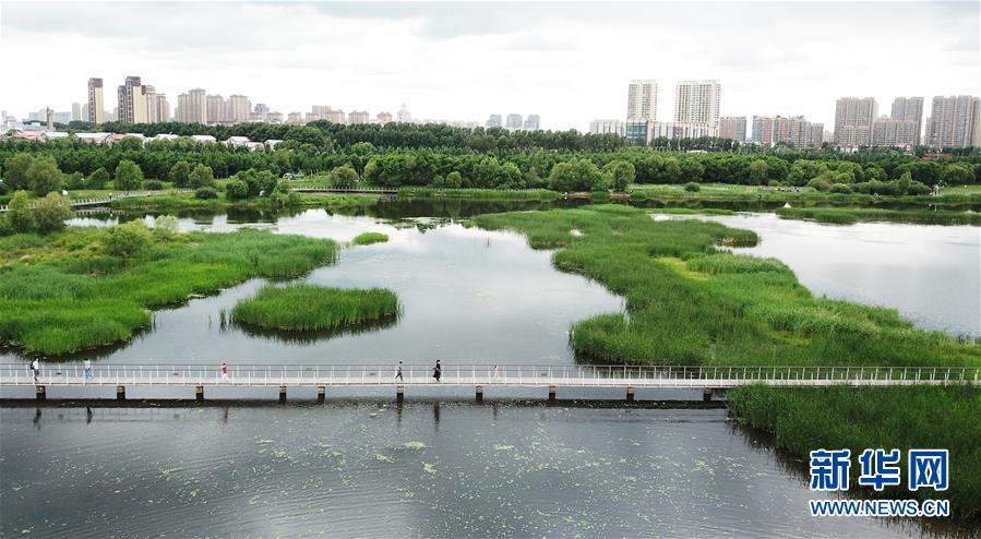 （走向我們的小康生活·圖文互動(dòng)）（1）水清、地綠、空氣新——最北省份黑龍江繪就生態(tài)治理新畫卷