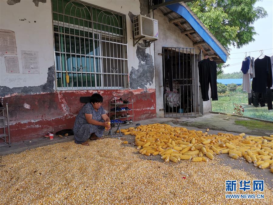 （新華視點(diǎn)·聚焦餐桌外的浪費(fèi)·圖文互動(dòng)）（3）農(nóng)戶儲(chǔ)糧損失達(dá)8%！設(shè)施普遍簡陋，蟲害霉變堪憂