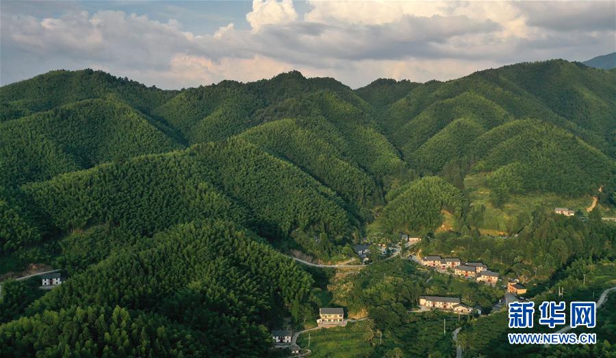 （新華全媒頭條·走向我們的小康生活·圖文互動）（2）神山村“神奇”何在？——井岡山深處覓答案