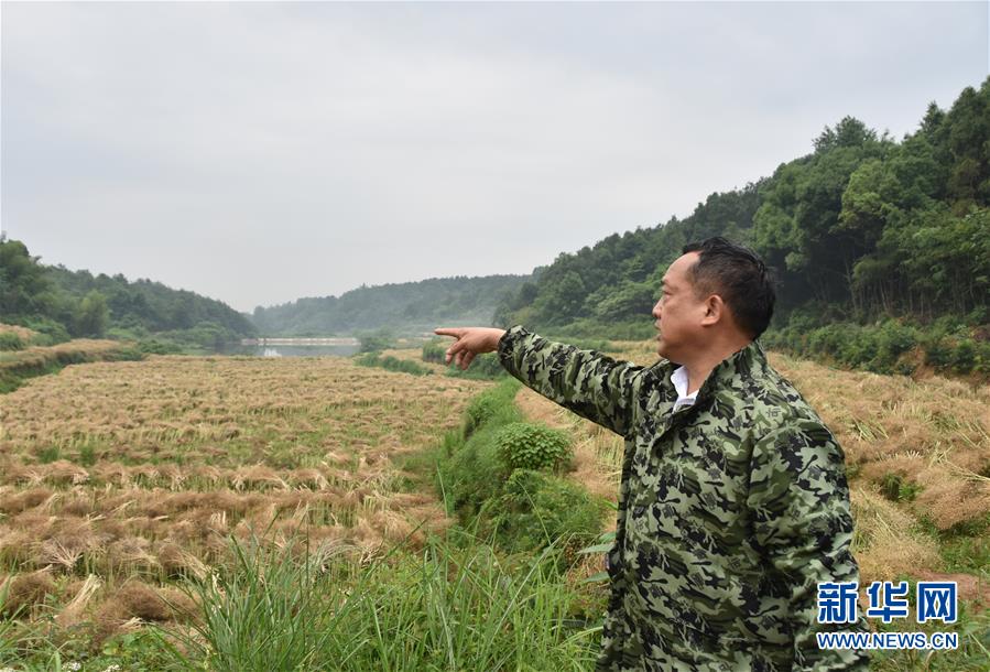 （代表委員履職·圖文互動）（2）“我是農民代表，始終關注農村”——全國人大代表沈昌健的履職故事