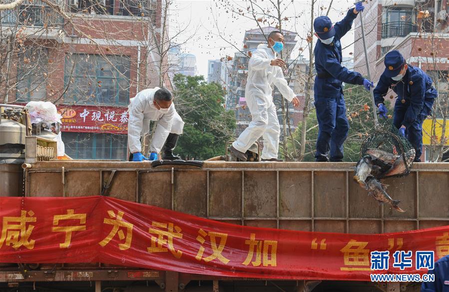 （新華全媒頭條·圖文互動(dòng)）（12）從人民中汲取磅礴力量——習(xí)近平總書記同出席2020年全國兩會(huì)人大代表、政協(xié)委員共商國是紀(jì)實(shí)