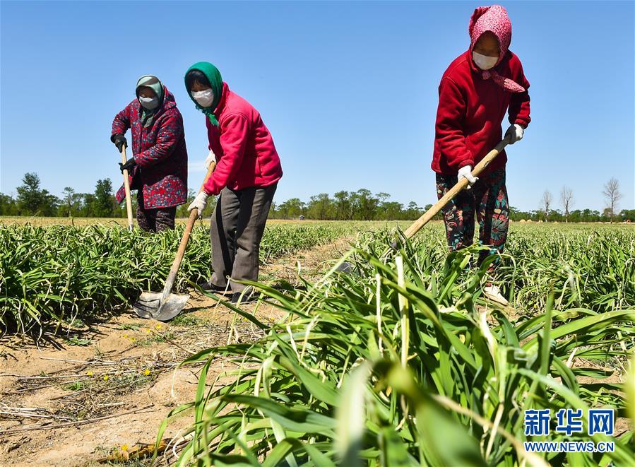 （新華全媒頭條·圖文互動(dòng)）（17）從人民中汲取磅礴力量——習(xí)近平總書記同出席2020年全國兩會(huì)人大代表、政協(xié)委員共商國是紀(jì)實(shí)
