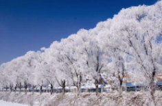 全國(guó)初雪時(shí)間表出爐 看看你離初雪還有多遠(yuǎn)？