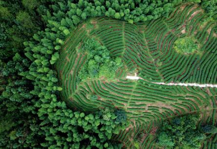 福建龍巖：高效用地，提升生態(tài)環(huán)境水平