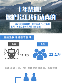十年禁捕！保護(hù)長(zhǎng)江我們認(rèn)真的