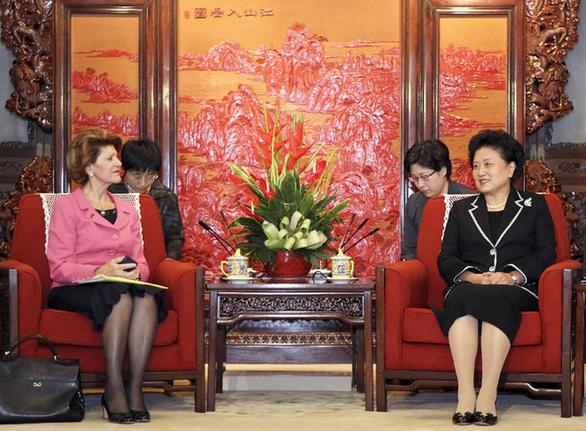劉延?xùn)|會(huì)見歐盟委員會(huì)教育、文化、語言多樣性及青年事務(wù)委員瓦西利烏
