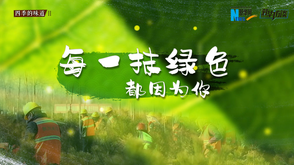 千年秀林，每一抹綠色都因?yàn)槟? /></p>
<p class=