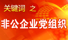 王京清：非公企業(yè)建立黨組織服務(wù)企業(yè)發(fā)展、服務(wù)員工