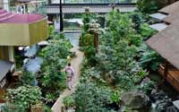 震撼！日本最豪華的廁所（組圖）
