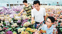 臺商眼中的改革開放：風景這邊獨好 要去，要去，要去！