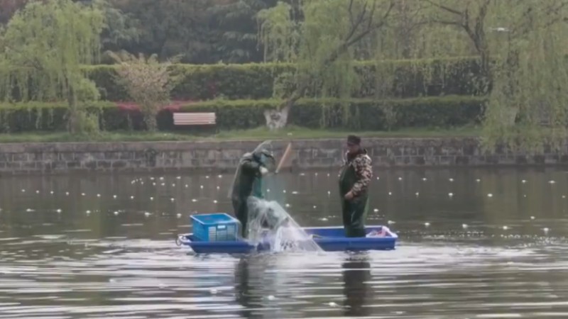 別人家的學校！安師大請師生吃一萬斤魚
