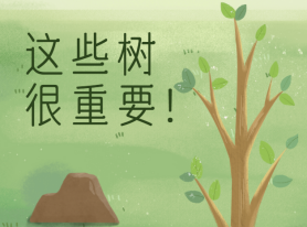 這些樹很重要！