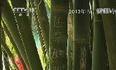 “五一”去哪？：快樂出行 文明旅游