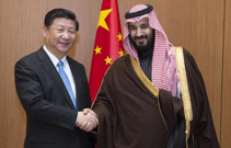習(xí)近平會(huì)見沙特阿拉伯王儲繼承人